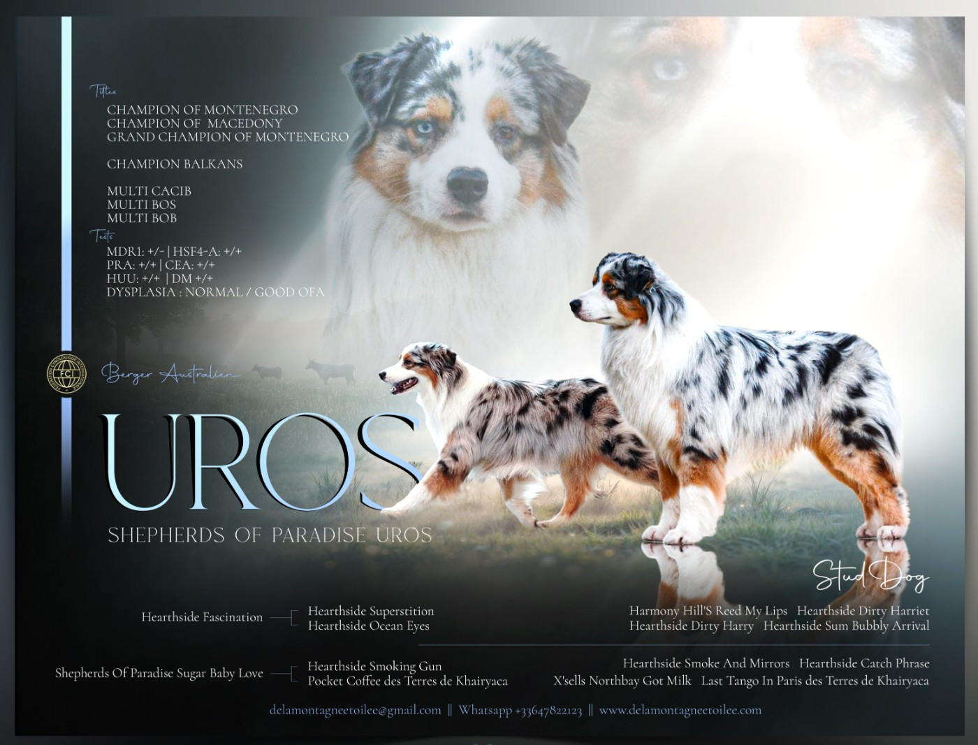 CH. Shepherds Of Paradise Uros